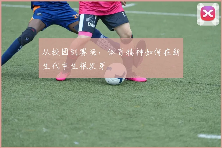 从校园到赛场,体育精神如何在新生代中生根发芽