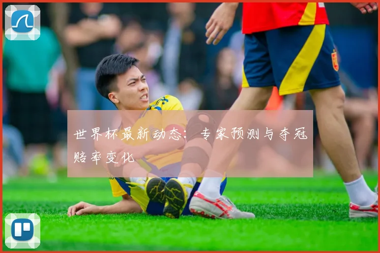 世界杯最新动态：专家预测与夺冠赔率变化